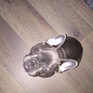 Meet your Posher, Taylor